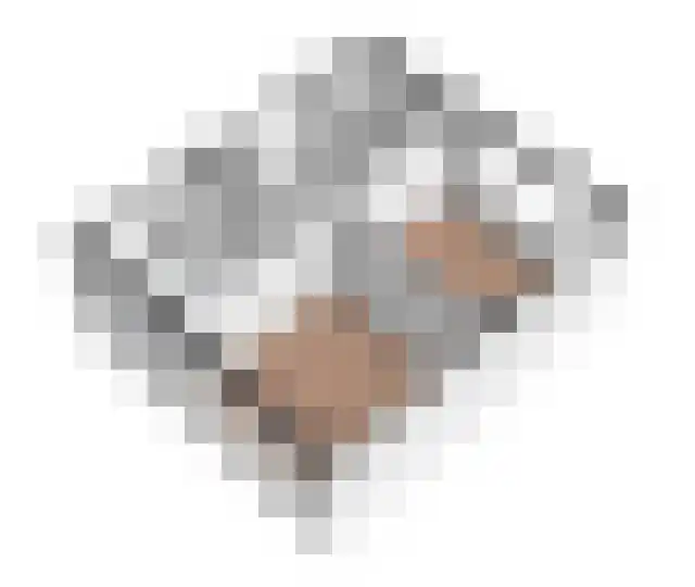 Bisschopswetering 23 's-Heerenbroek thumbnail 23