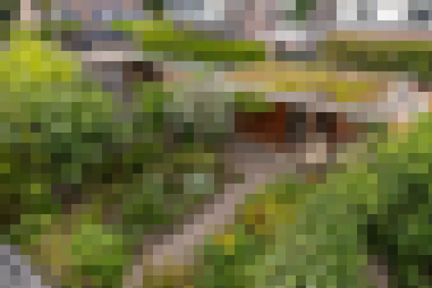 Bisschopswetering 23 's-Heerenbroek thumbnail 29