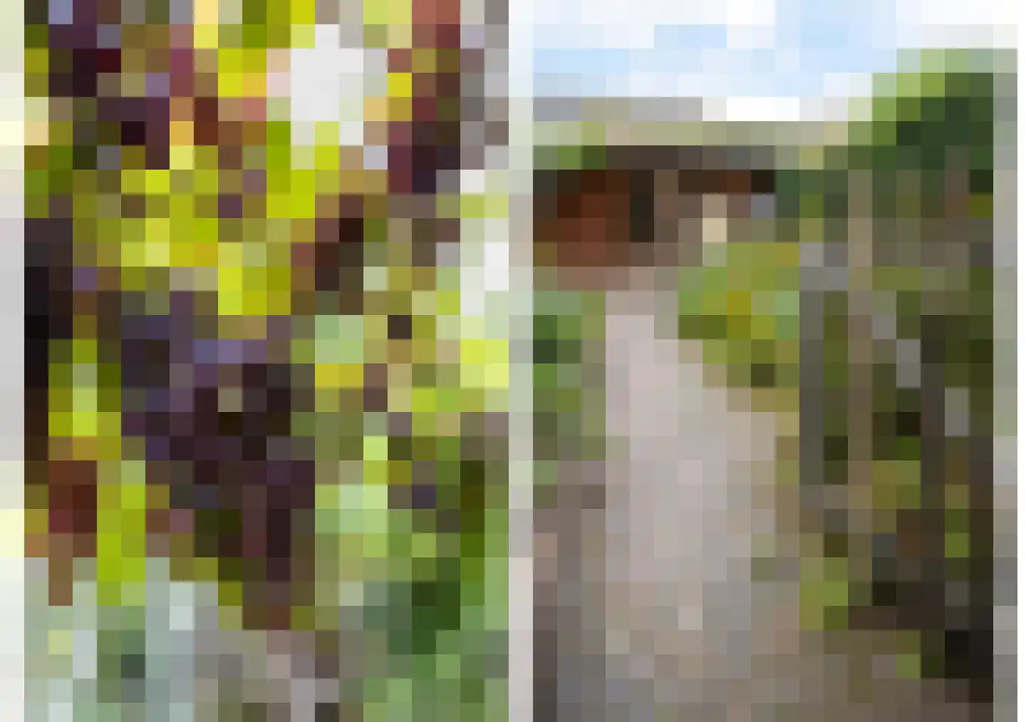 Bisschopswetering 23 's-Heerenbroek thumbnail 33
