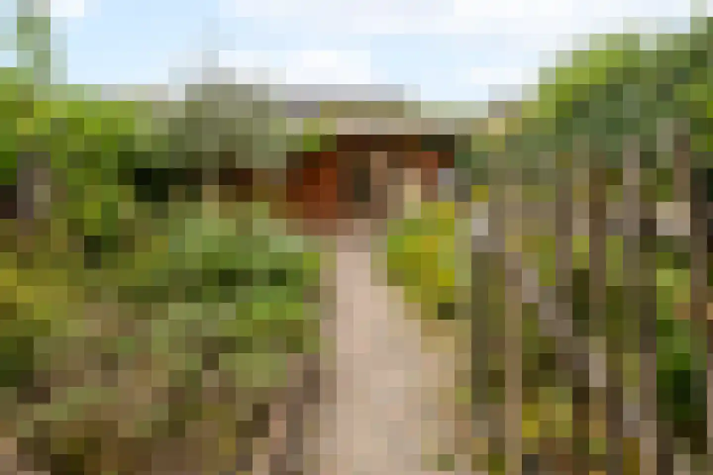 Bisschopswetering 23 's-Heerenbroek thumbnail 36