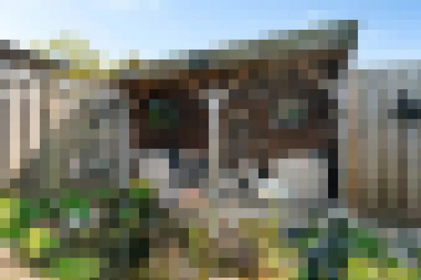 Bisschopswetering 27 's-Heerenbroek thumbnail 38