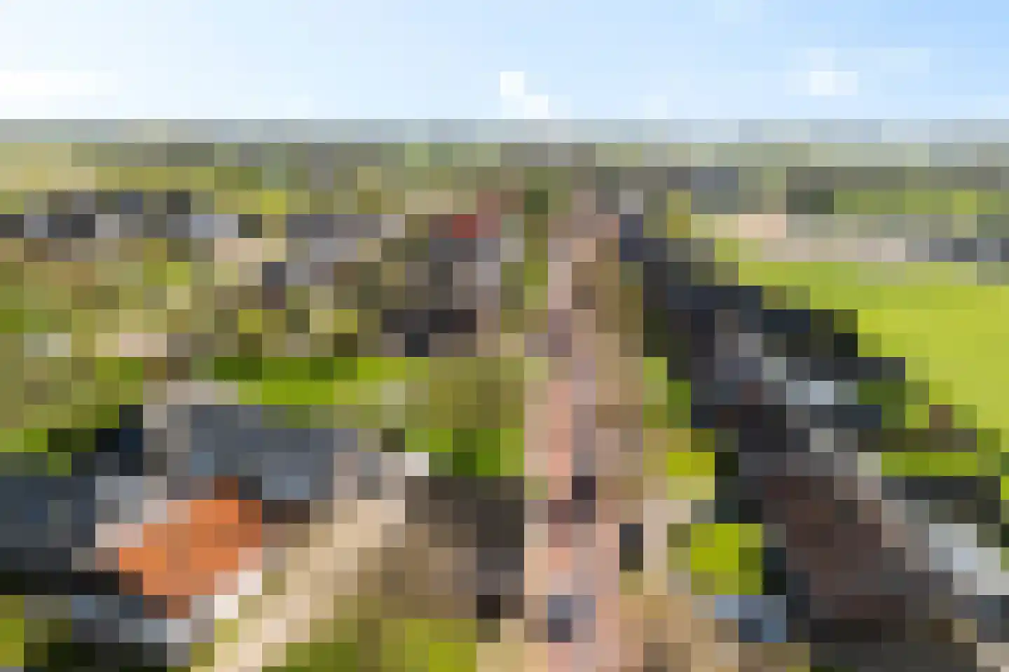 Bisschopswetering 27 's-Heerenbroek thumbnail 47