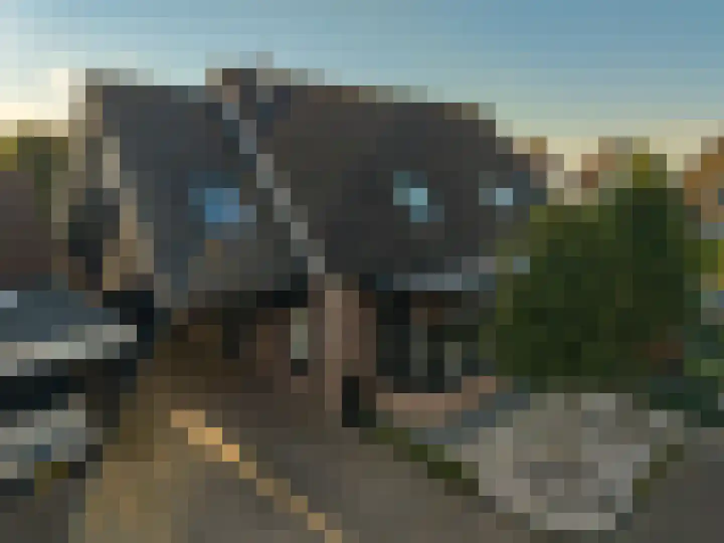 Bisschopswetering 46 's-Heerenbroek thumbnail 8