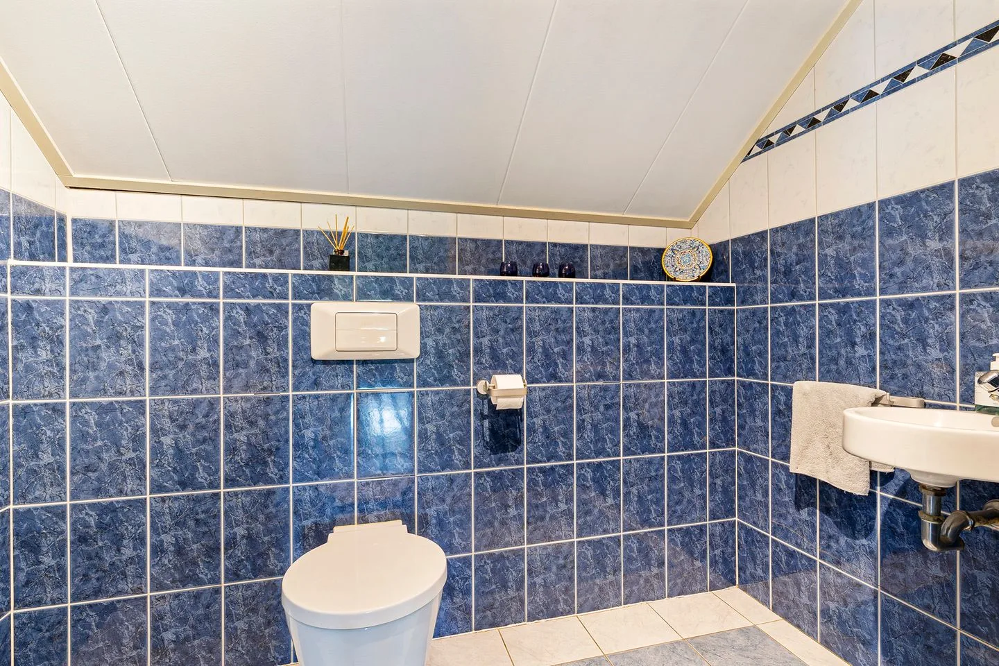 Bisschopswijk 3 Nieuw-Roden thumbnail 36