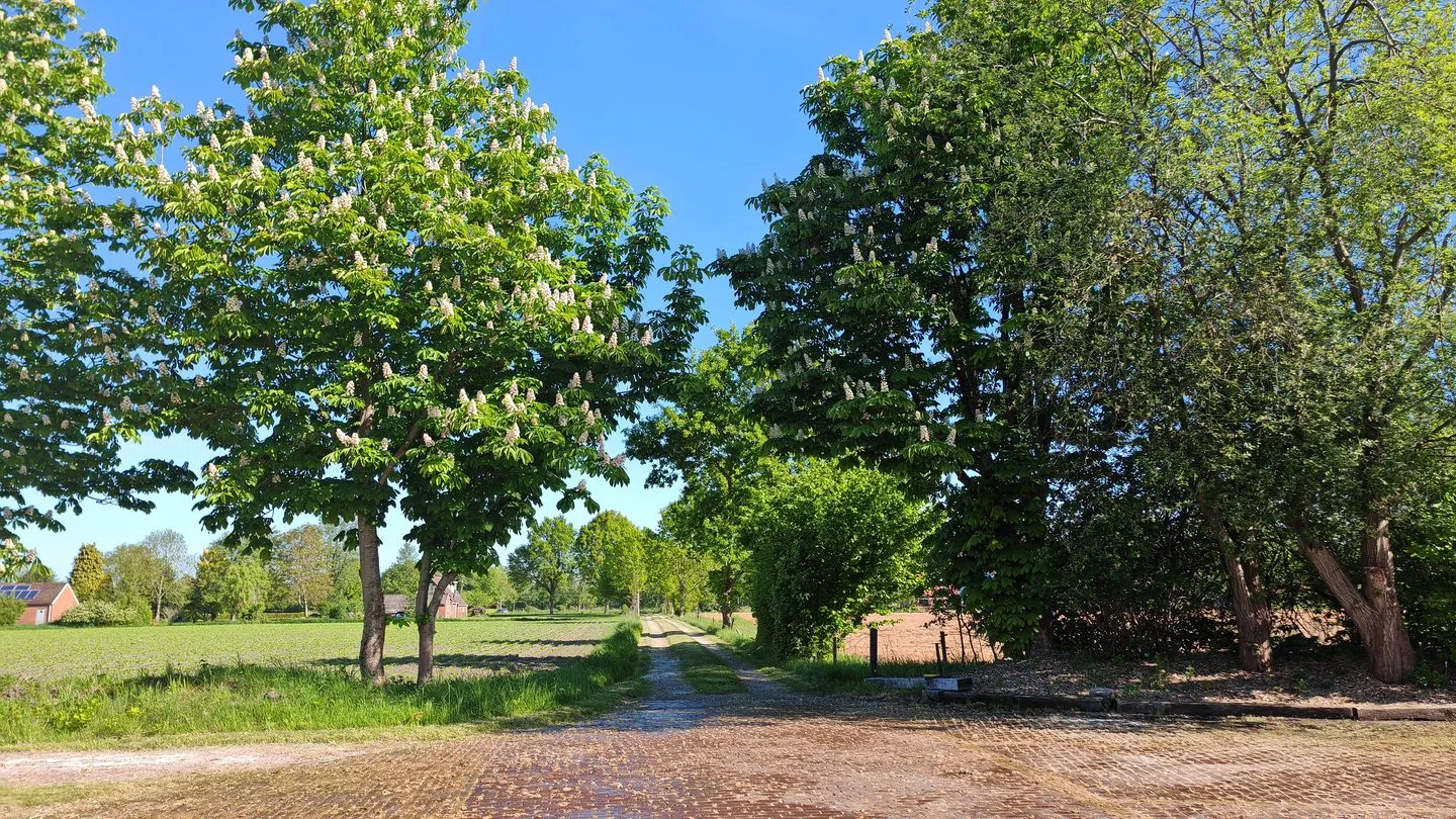 Bisschopswijk 3 Nieuw-Roden thumbnail 63