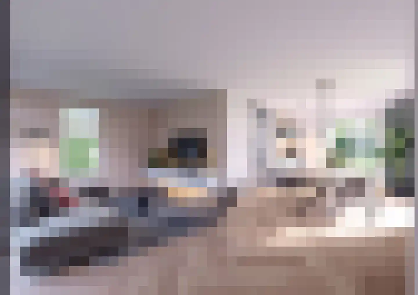 Bitgumerdyk 1 Berltsum thumbnail 4