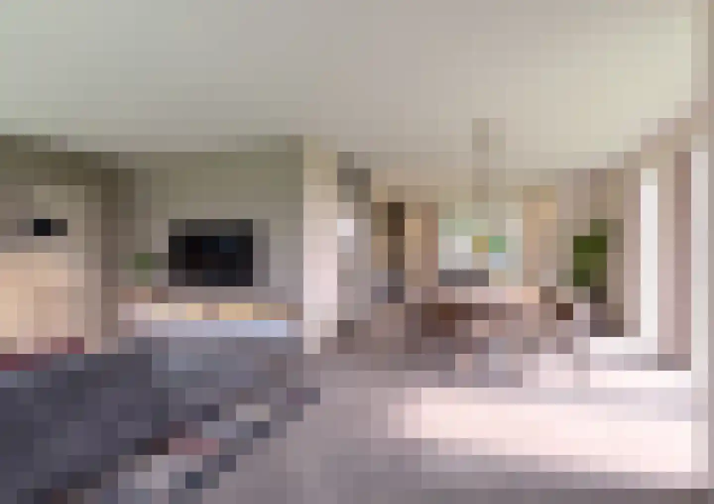 Bitgumerdyk 1 Berltsum thumbnail 5