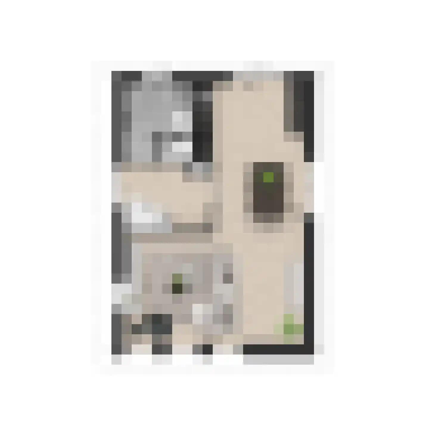 Bitgumerdyk 1 Berltsum thumbnail 8