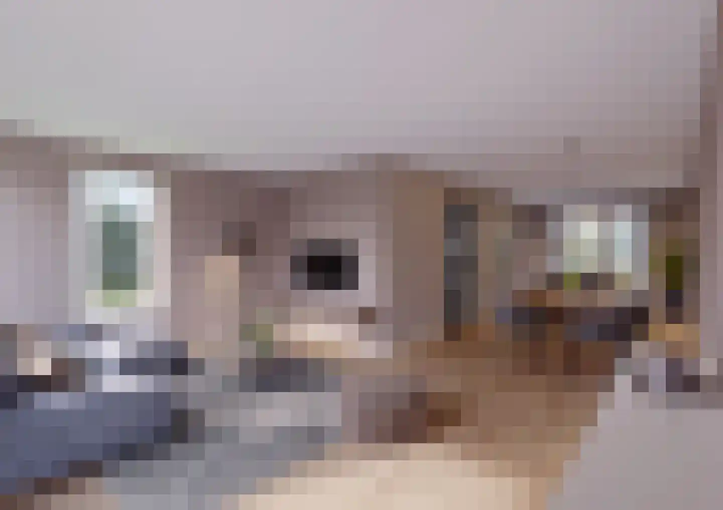 Bitgumerdyk 11 Berltsum foto 3