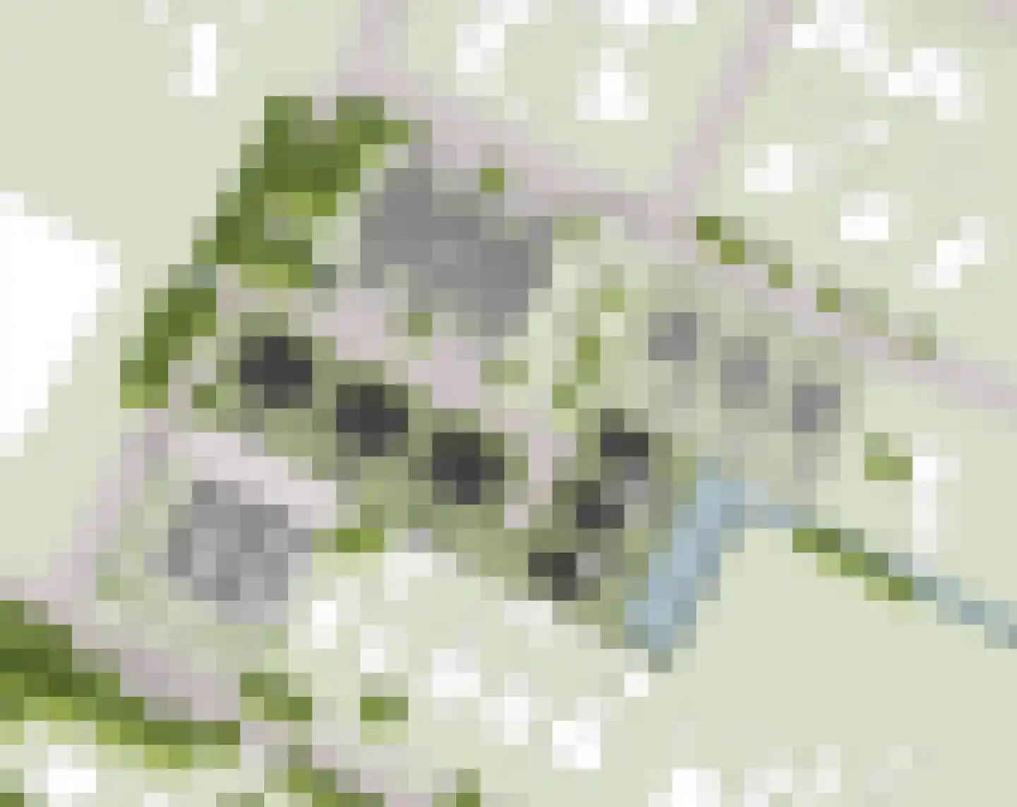 Bitgumerdyk 11 Berltsum thumbnail 4