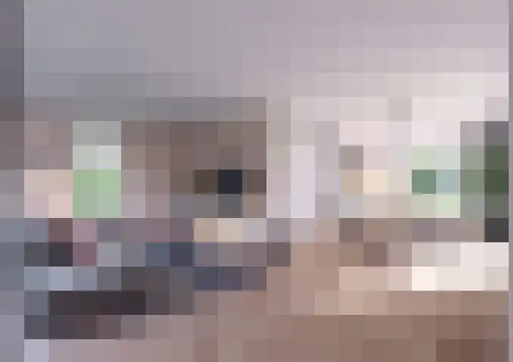 Bitgumerdyk 3 Berltsum foto 3
