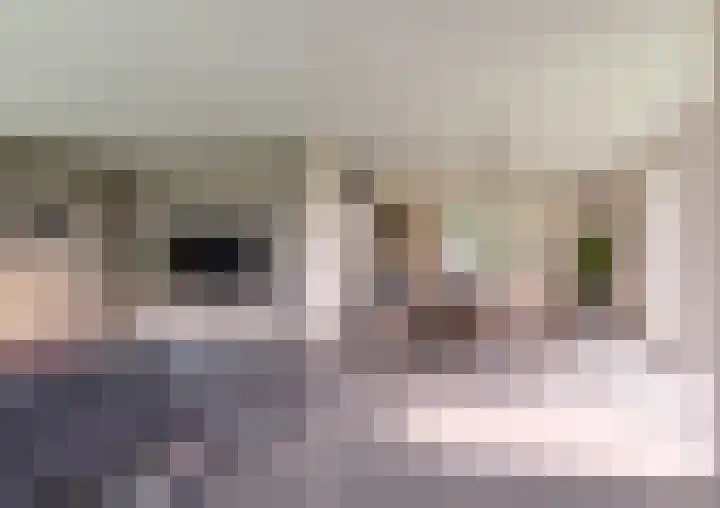 Bitgumerdyk 3 Berltsum thumbnail 4