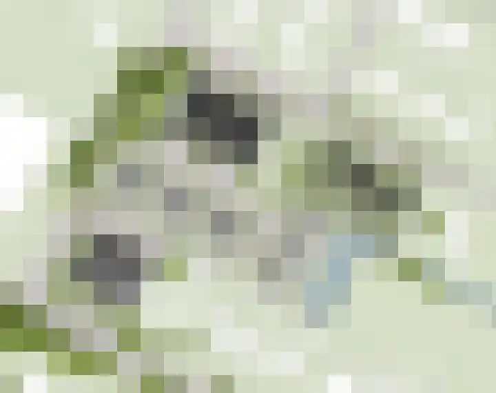 Bitgumerdyk 3 Berltsum thumbnail 5