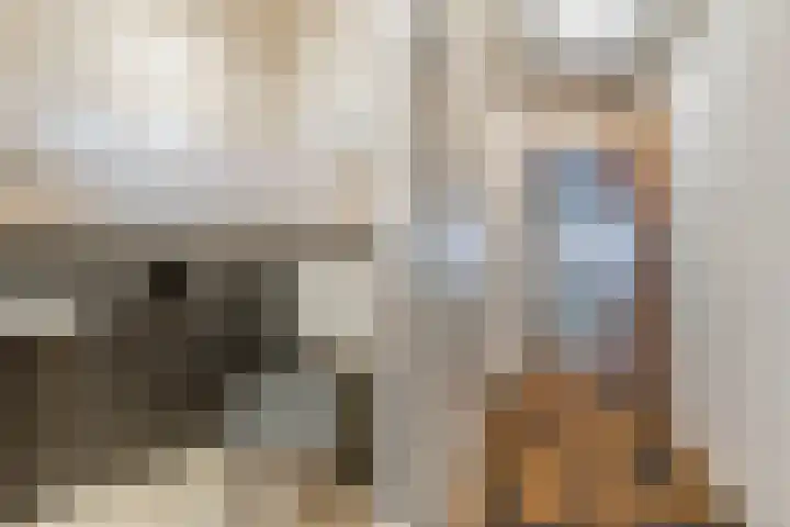 Bitgumerdyk 3 Marsum thumbnail 11