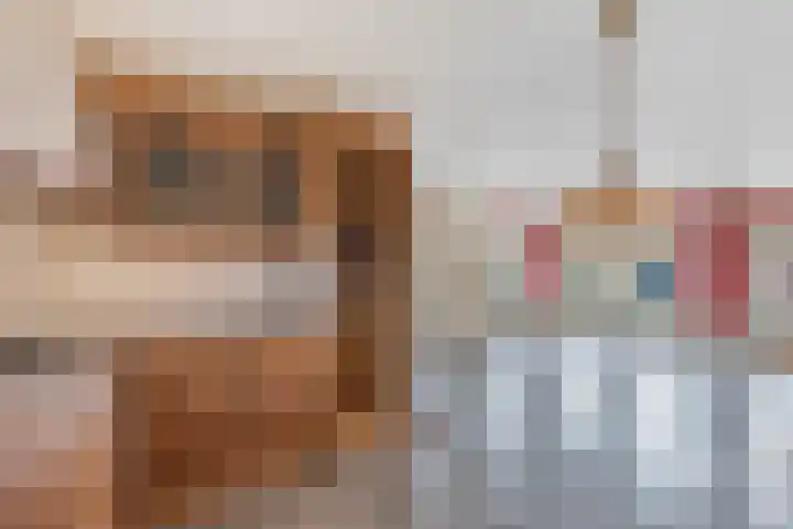 Bitgumerdyk 3 Marsum thumbnail 16