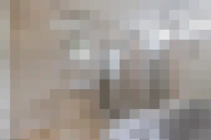 Bitgumerdyk 3 Marsum thumbnail 21