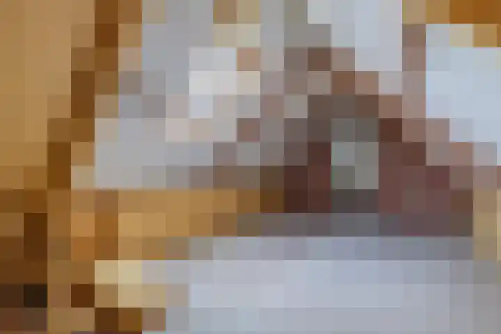 Bitgumerdyk 3 Marsum thumbnail 23