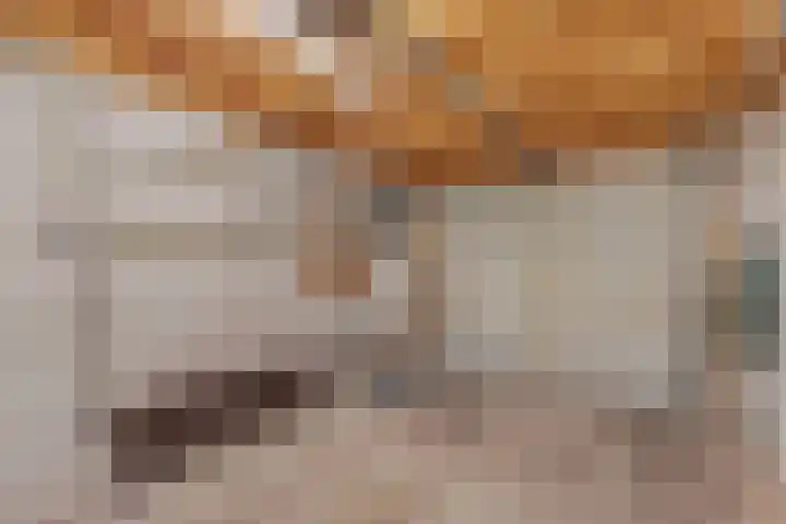 Bitgumerdyk 3 Marsum thumbnail 25