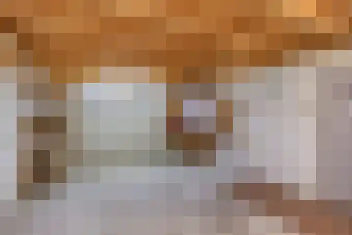 Bitgumerdyk 3 Marsum thumbnail 26