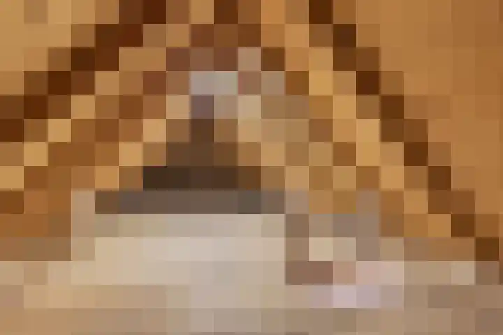 Bitgumerdyk 3 Marsum thumbnail 28