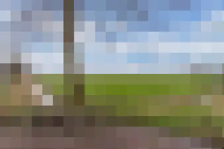 Bitgumerdyk 3 Marsum thumbnail 9