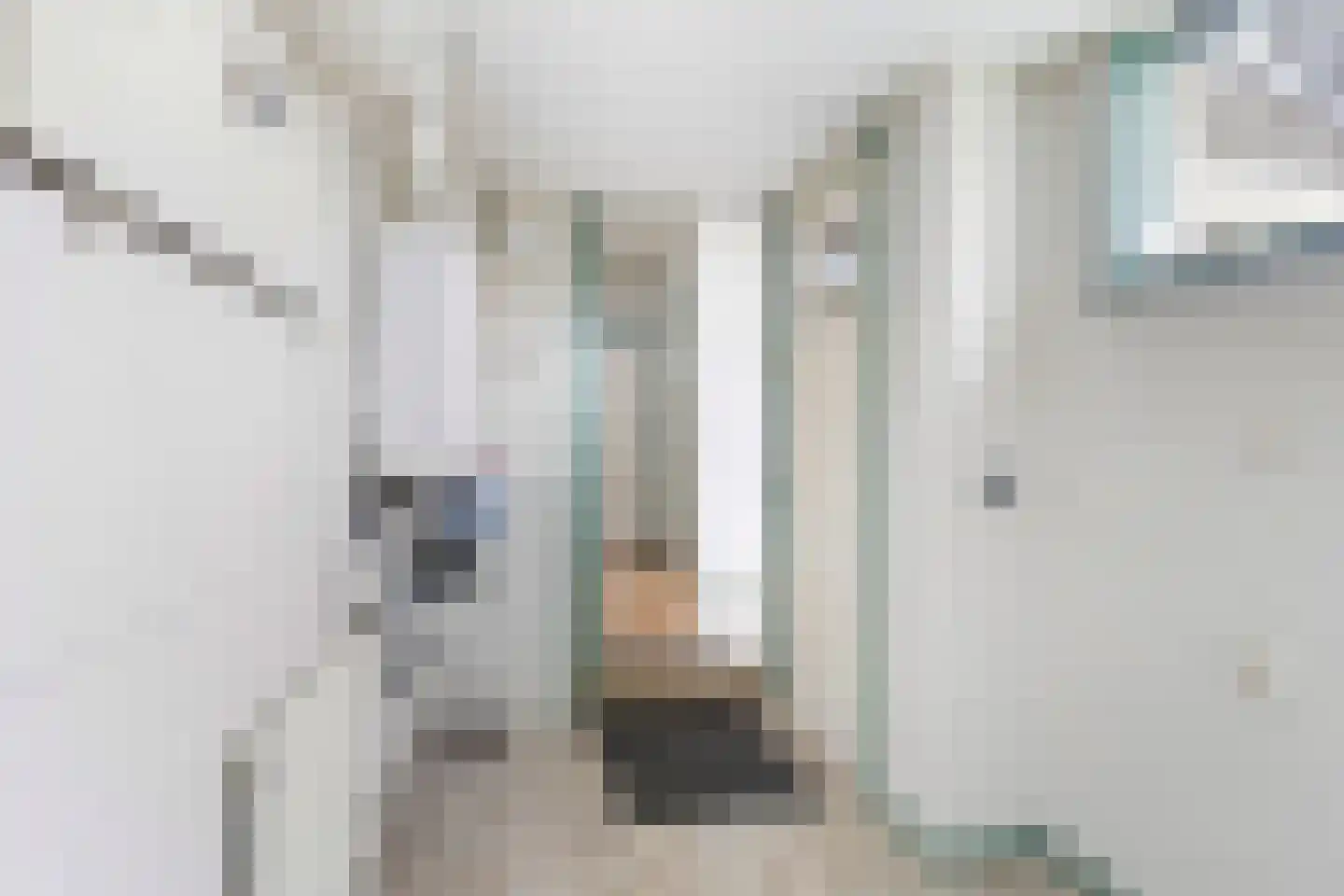 Bitgumerdyk 31 Berltsum thumbnail 18