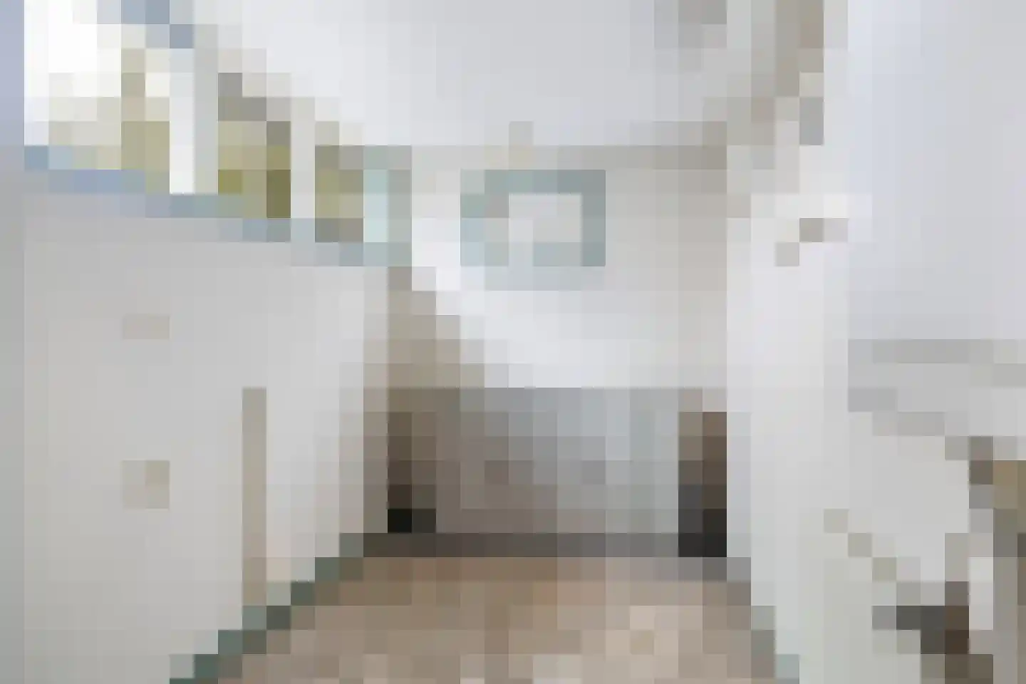 Bitgumerdyk 31 Berltsum thumbnail 19