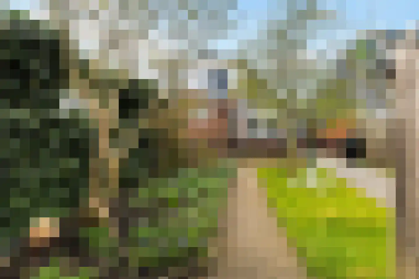 Bitgumerdyk 31 Berltsum thumbnail 31
