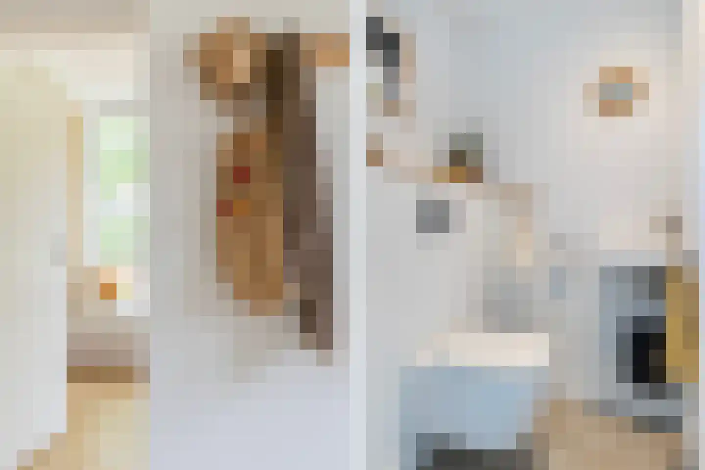 Bitgumerdyk 37 Marsum thumbnail 16