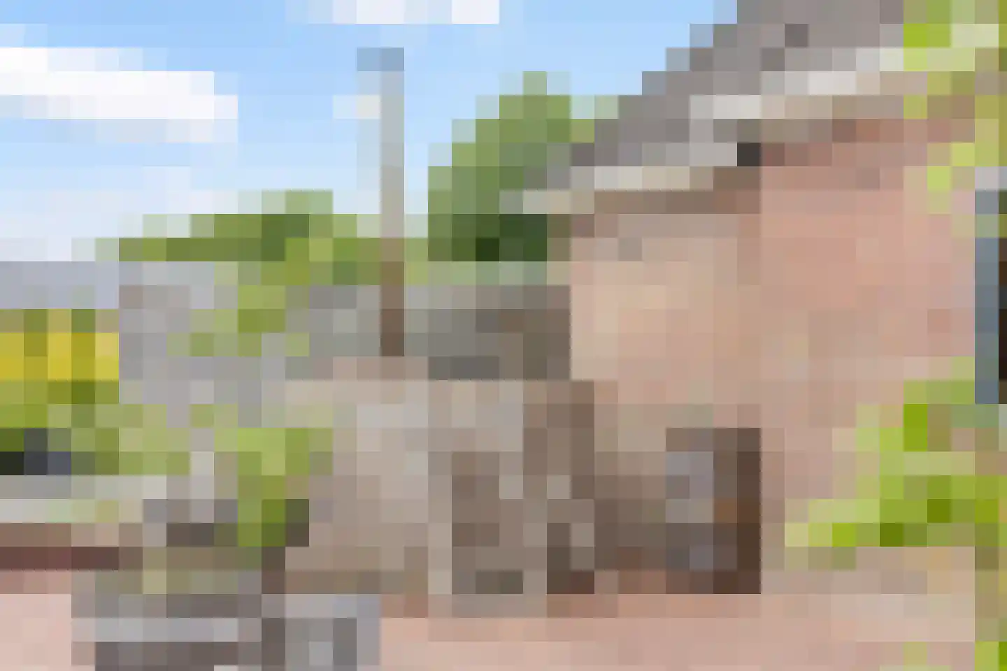 Bitgumerdyk 37 Marsum thumbnail 36