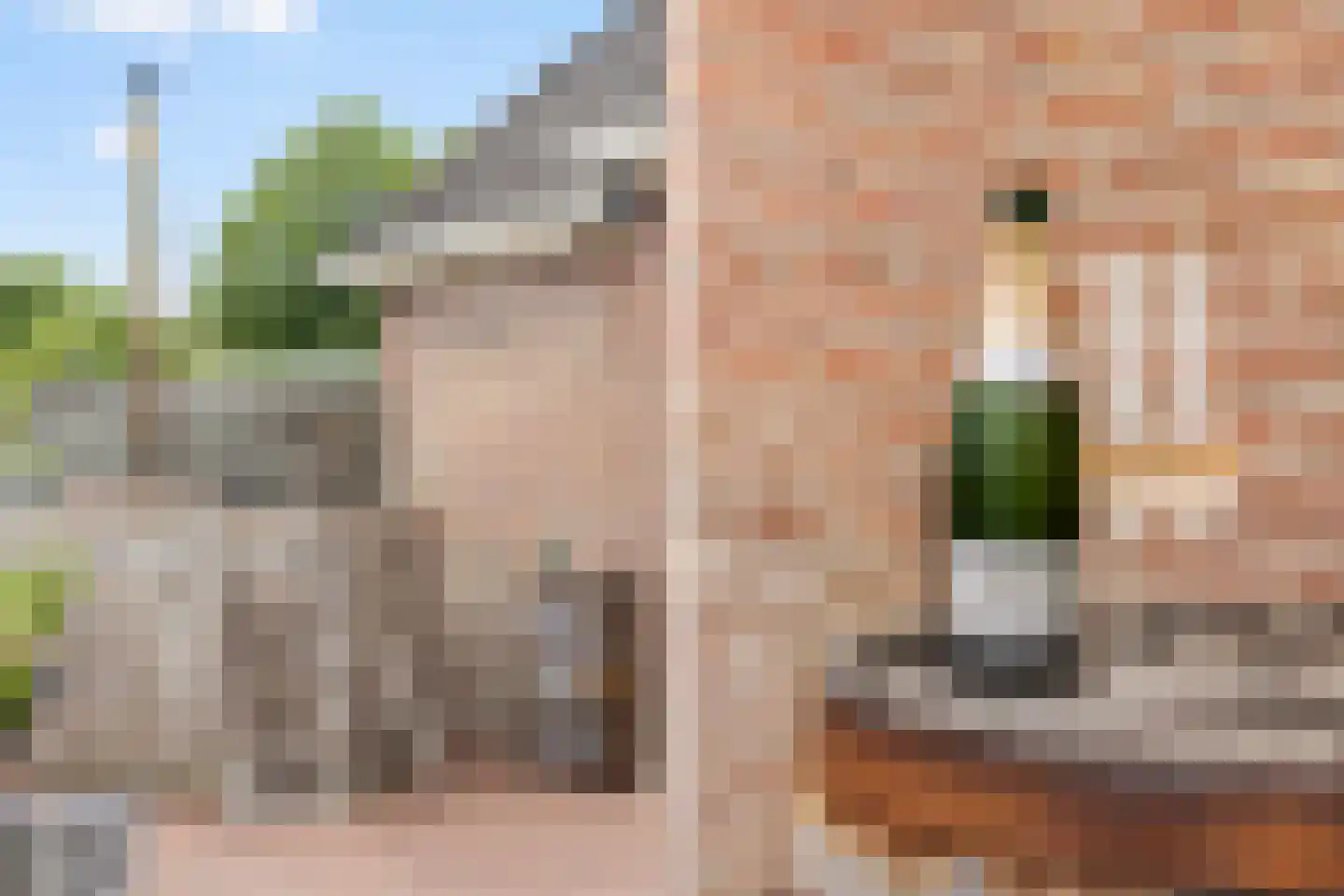 Bitgumerdyk 37 Marsum thumbnail 37