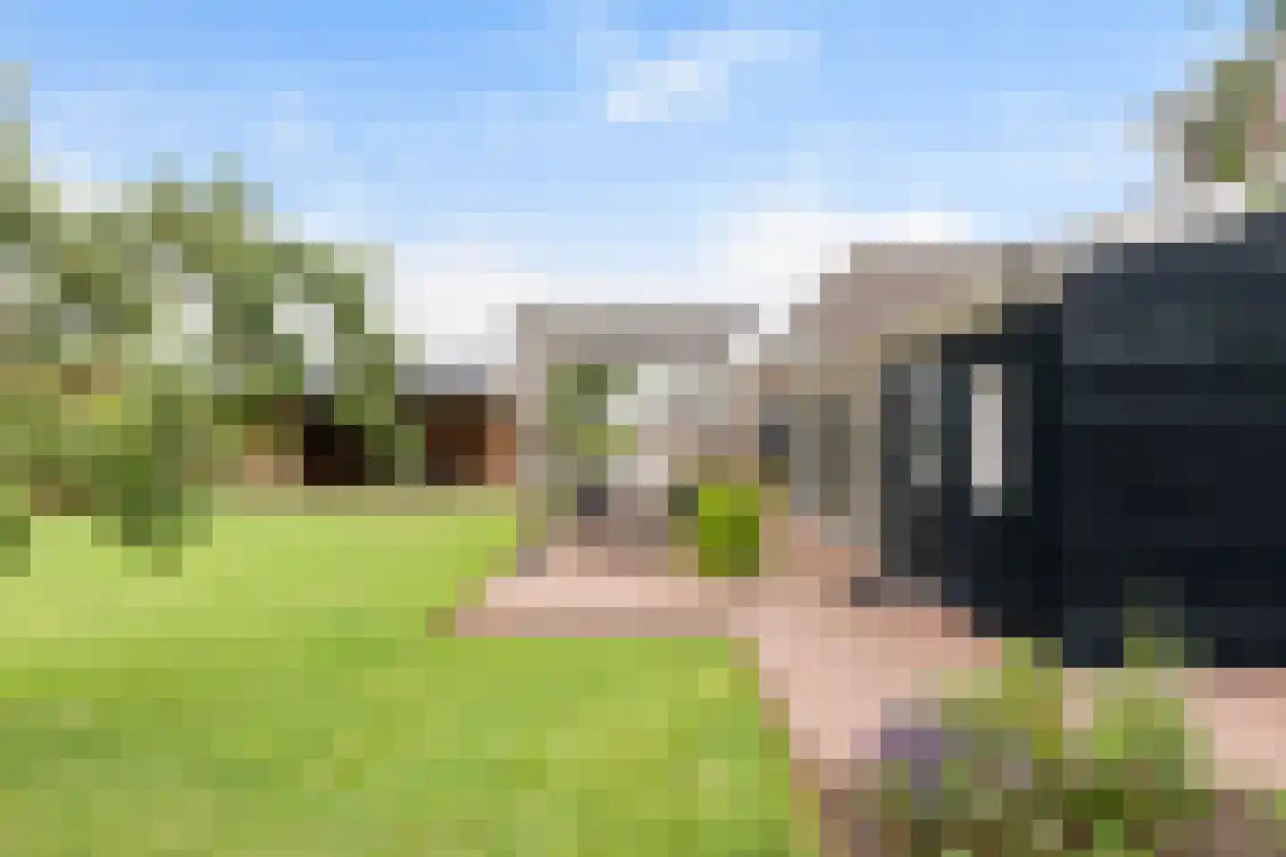 Bitgumerdyk 37 Marsum thumbnail 4