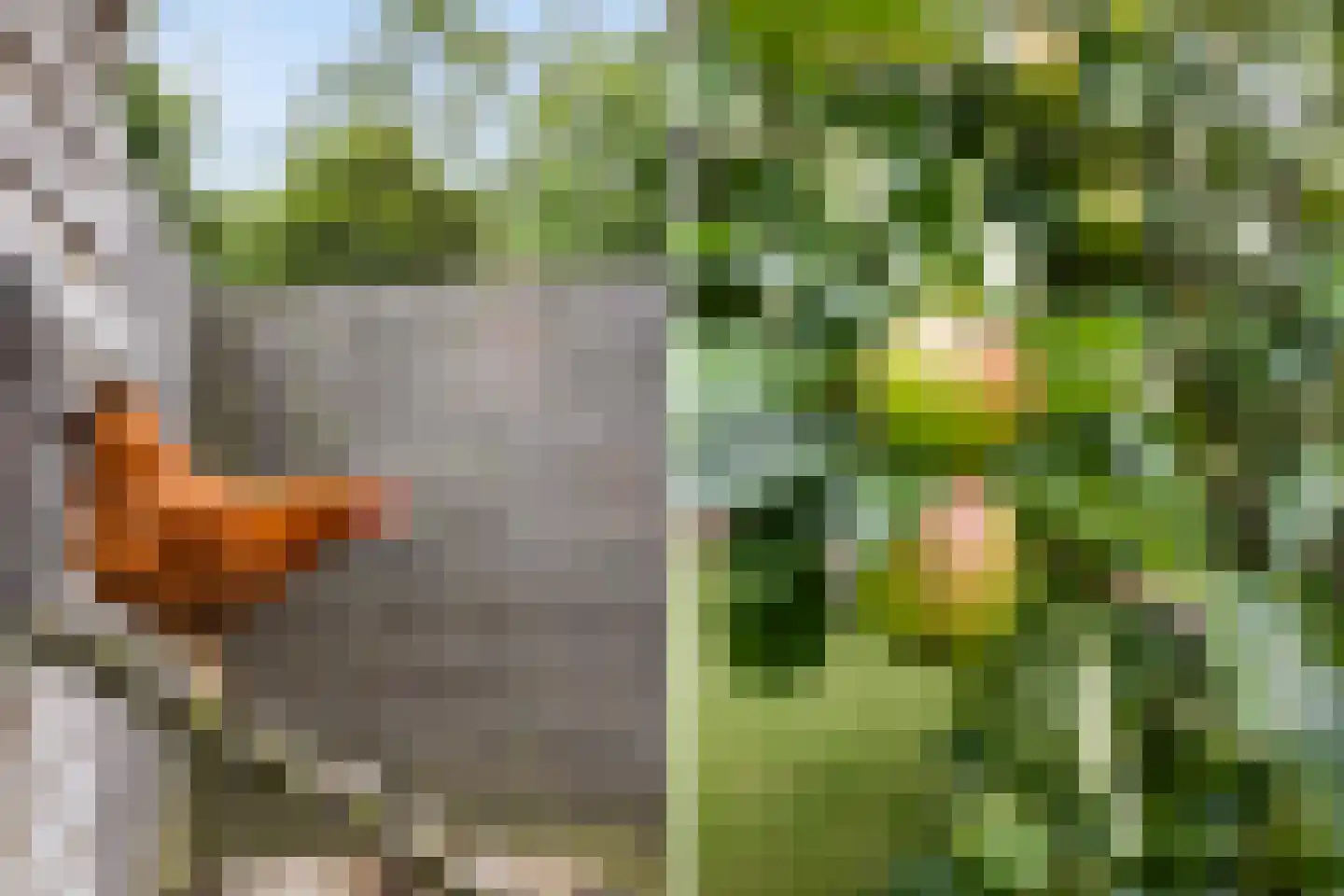 Bitgumerdyk 37 Marsum thumbnail 44