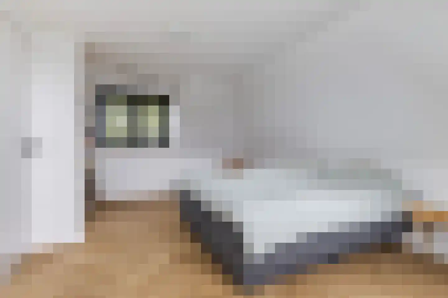 Bitgumerdyk 37 Marsum thumbnail 61