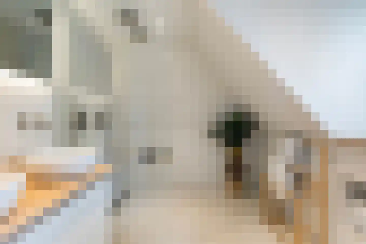 Bitgumerdyk 37 Marsum thumbnail 62