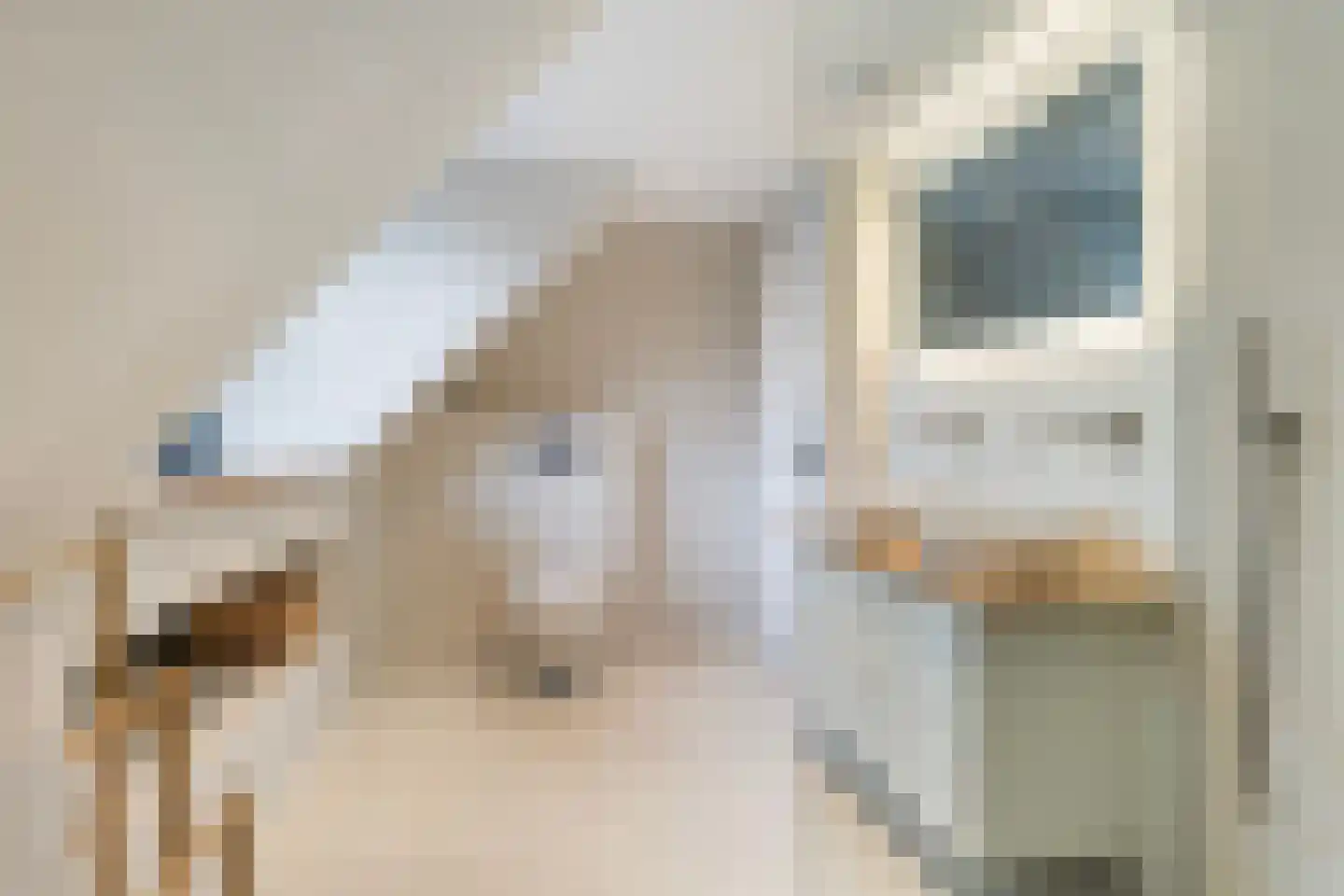 Bitgumerdyk 37 Marsum thumbnail 63
