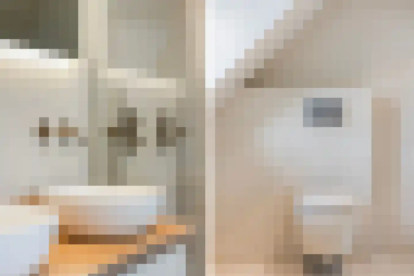 Bitgumerdyk 37 Marsum thumbnail 65