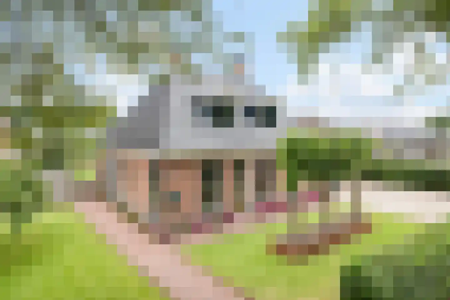 Bitgumerdyk 37 Marsum thumbnail 68