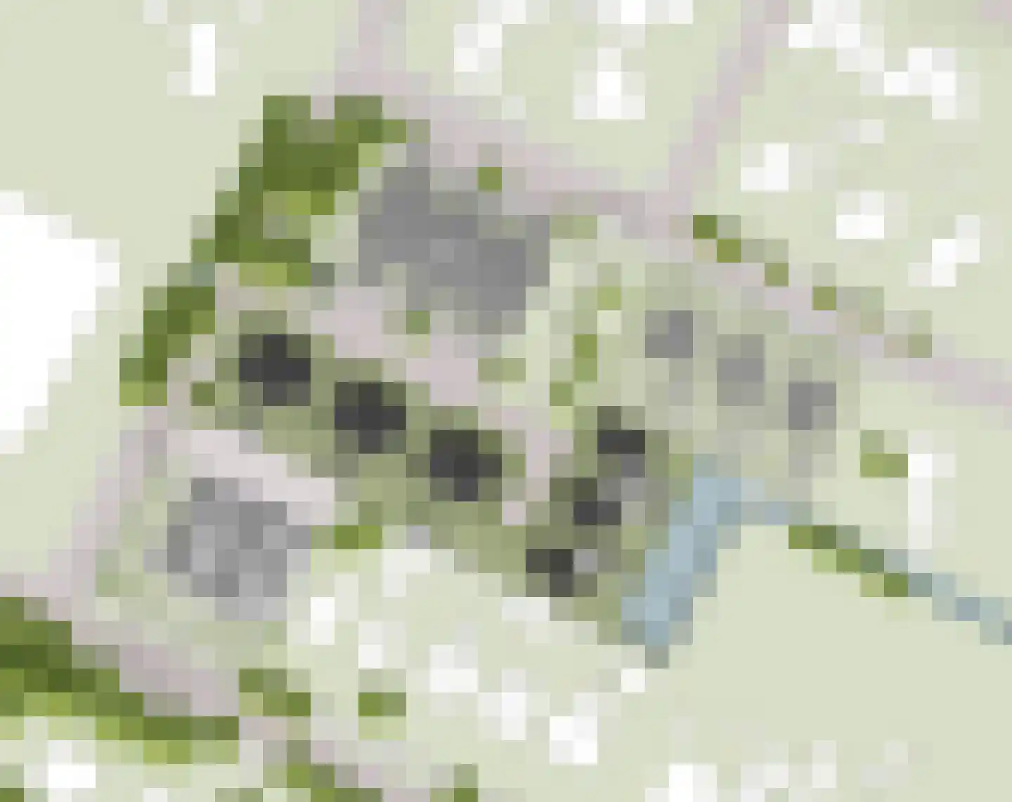 Bitgumerdyk 5 Berltsum thumbnail 4