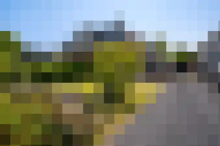 Bitgumerdyk 6 Berltsum thumbnail 25