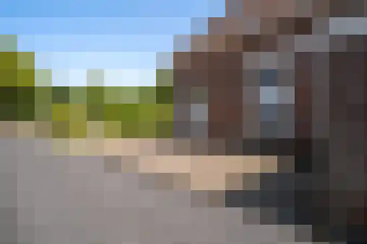 Bitgumerdyk 6 Berltsum thumbnail 26