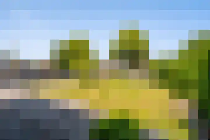 Bitgumerdyk 6 Berltsum thumbnail 28