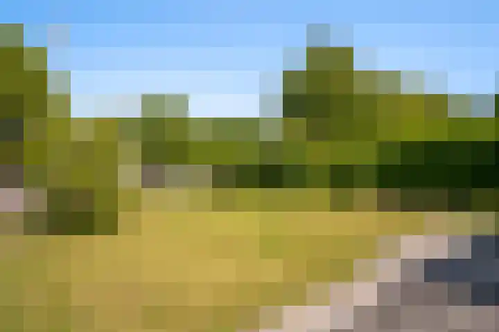 Bitgumerdyk 6 Berltsum thumbnail 29