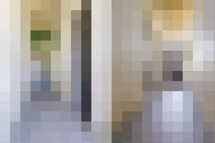 Bitgumerdyk 6 Berltsum thumbnail 8