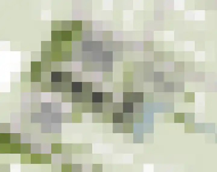Bitgumerdyk 7 Berltsum thumbnail 9
