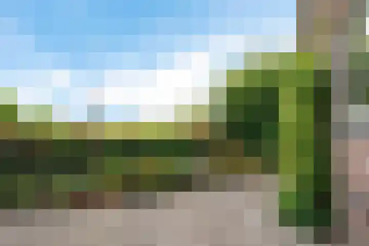 Bitgumerdyk 85 Marsum thumbnail 10