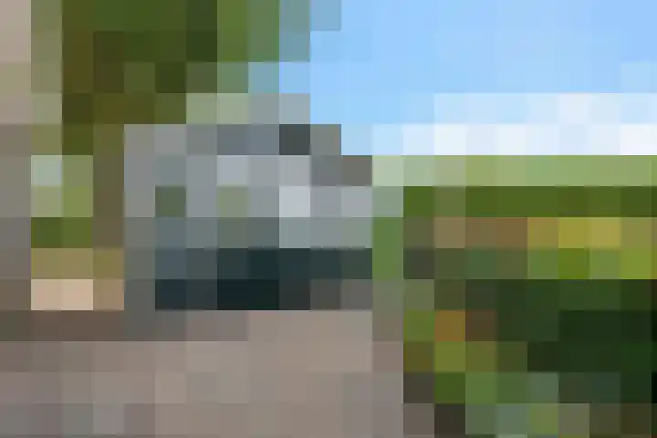 Bitgumerdyk 85 Marsum thumbnail 11