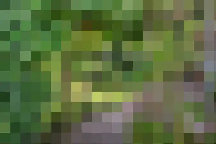 Bitgumerdyk 85 Marsum thumbnail 13