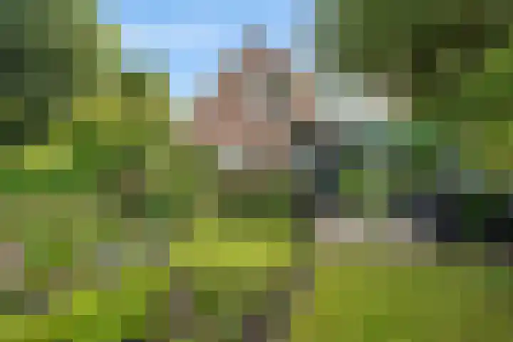 Bitgumerdyk 85 Marsum thumbnail 15