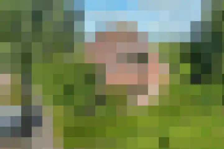 Bitgumerdyk 85 Marsum thumbnail 18